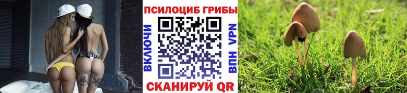 Псилоцибиновые грибы GOLDEN TEACHER  Агидель 